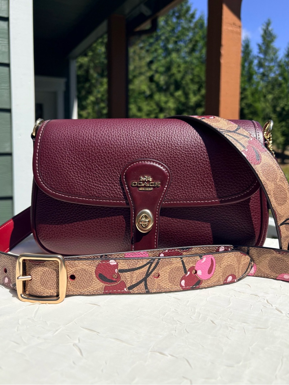 COACH Hadley Shoulder Bag With Upgraded Cherry Strap CY683 CZ021